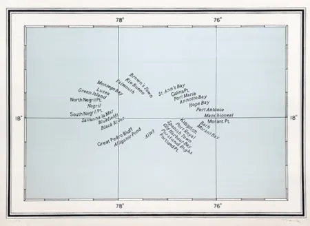 Lithografie Macchi - Agua de Jamaica