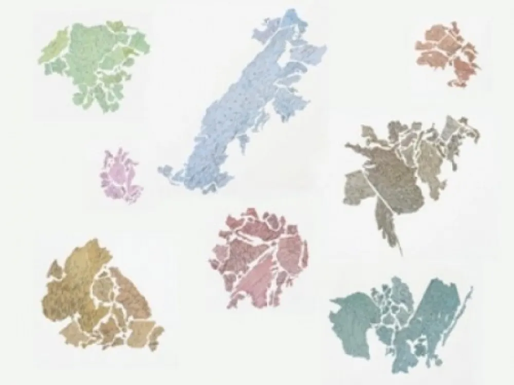 Lithografie Macchi - New World