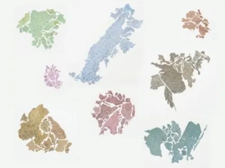 Lithografie Macchi - New World