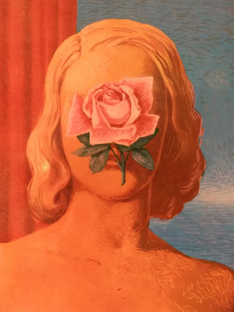 Geïllustreerd Boek Magritte - XXE No 25