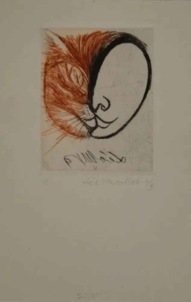 Geïllustreerd Boek Maillet - Léo Maillet Peintre-Graveur