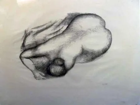 Lithografie Maillol - Torso