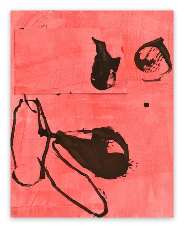 Geen Techniek Maine - Frankly Scarlet 2