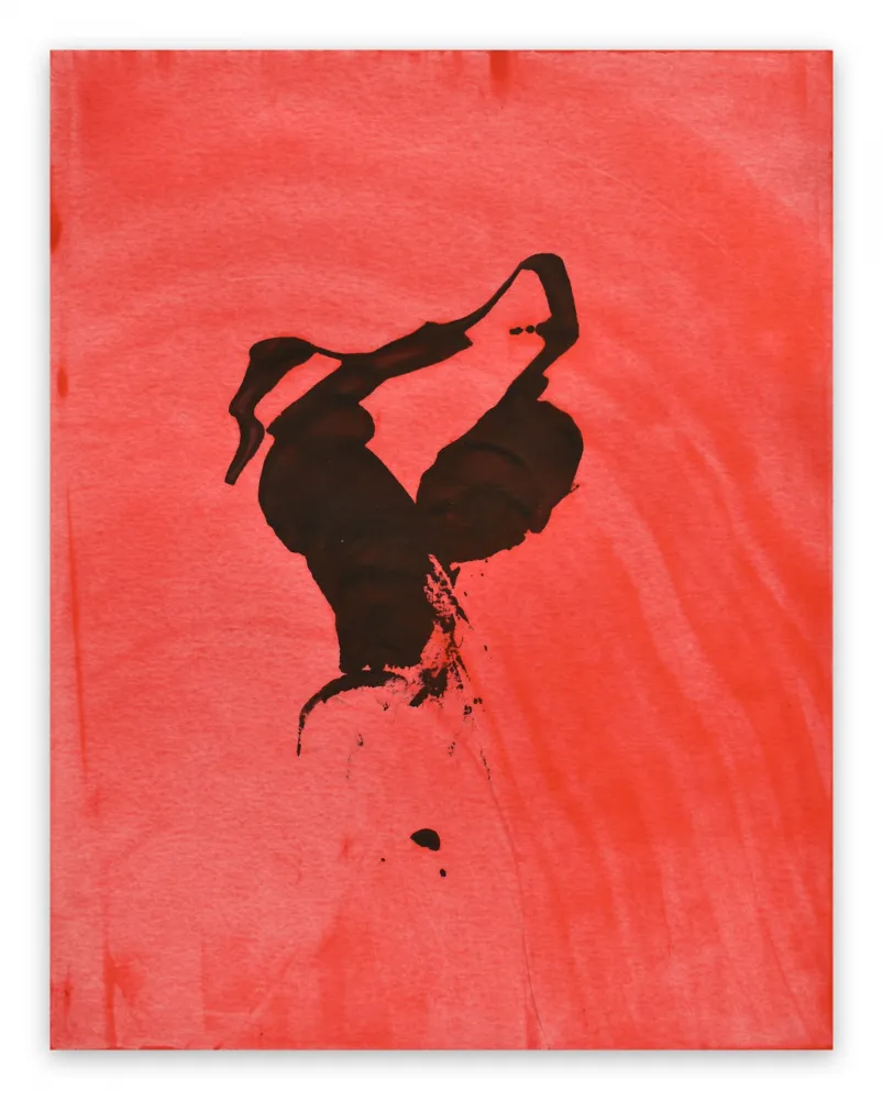 Geen Techniek Maine - Frankly Scarlet 50