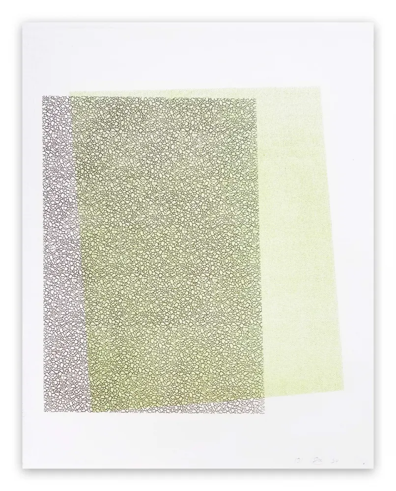 Reliëf Maine - Pitched Planes 131