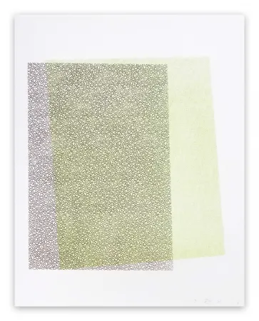 Reliëf Maine - Pitched Planes 131