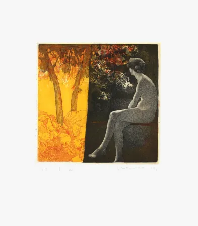 Ets Mair - Ombracule