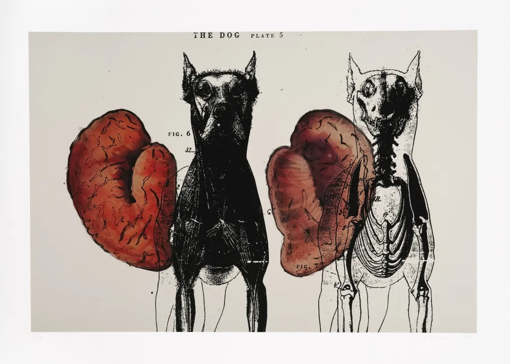 Digitale Print Malani - Stress of recall (The)