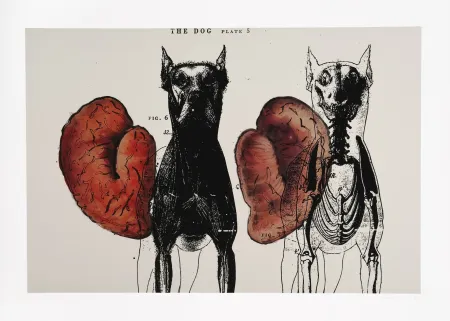 Digitale Print Malani - Stress of recall (The)