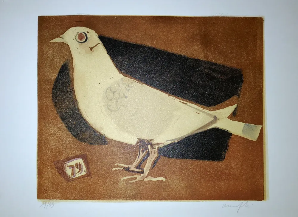 Linosnede Manfredi - Piccione