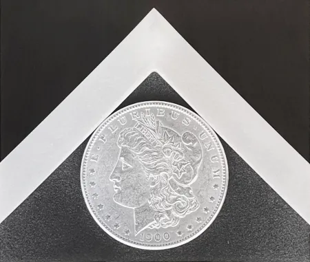 Fotografie Mapplethorpe - Silver Dollar