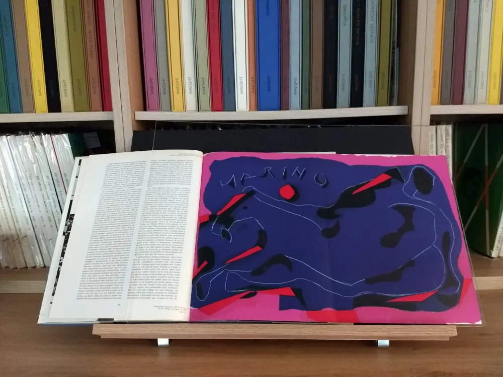 Geïllustreerd Boek Marini - Hommage