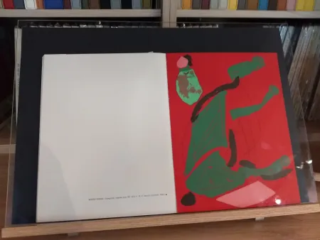 Geïllustreerd Boek Marini - No 35