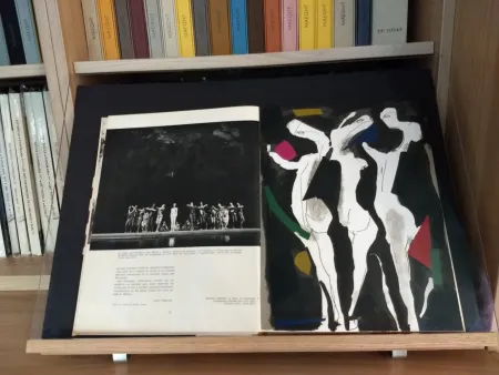 Geïllustreerd Boek Marini - No 40