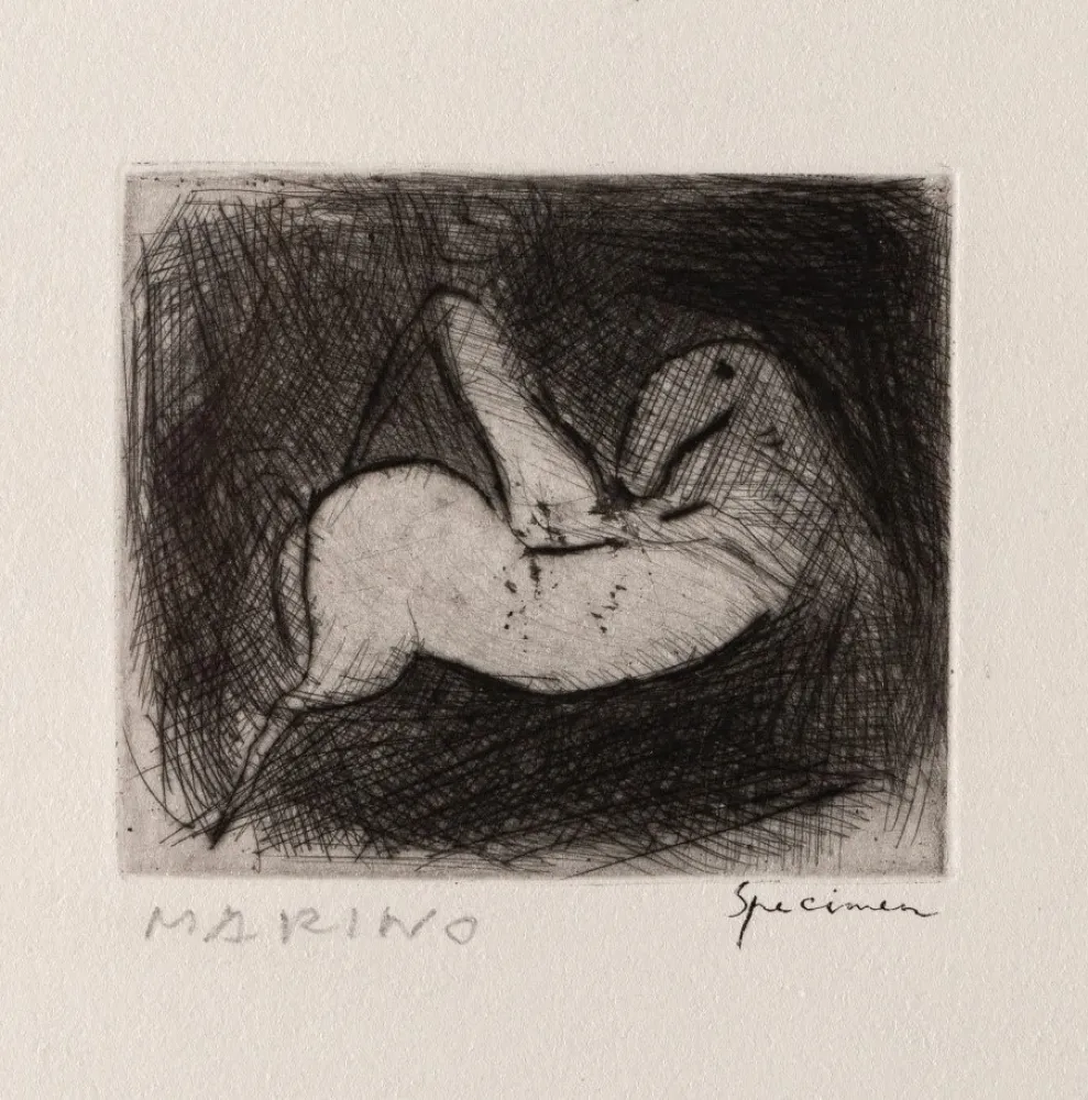 Ets Marini - Piccolo Cavaliere