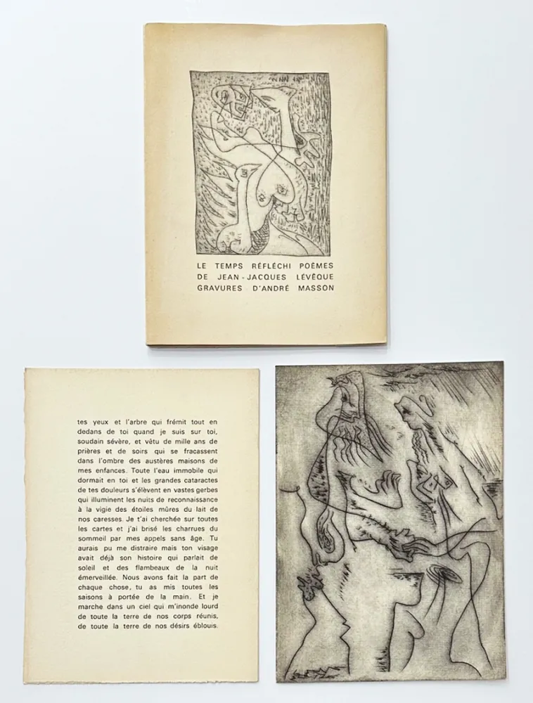 Geïllustreerd Boek Masson - Le temps réfléchi