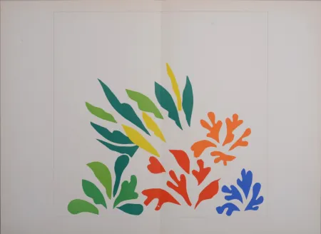 Lithografie Matisse (After) - Acanthes, 1958