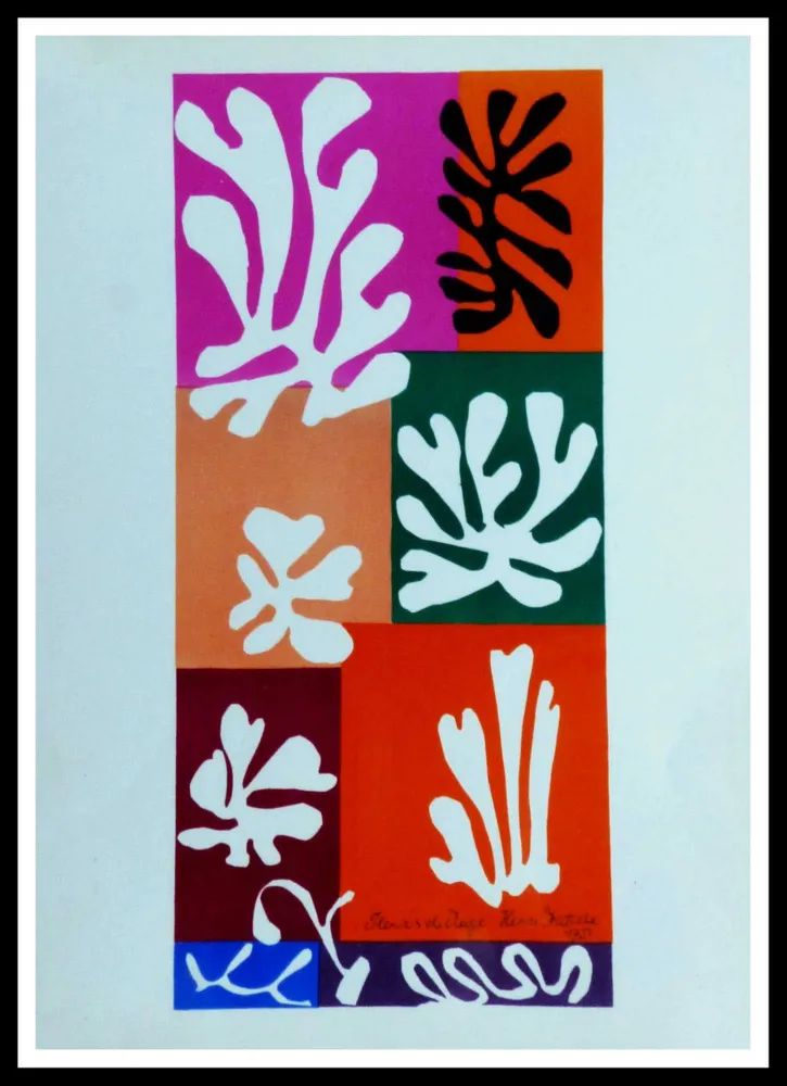 Lithografie Matisse (After) - FLEURS DE NEIGNE