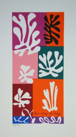 Lithografie Matisse - Fleurs de Neige, 1951