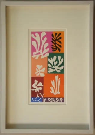 Lithografie Matisse - Fleurs De Neige