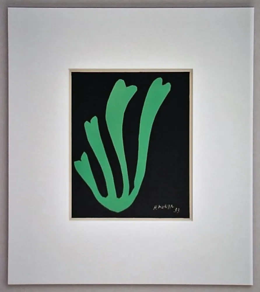 Lithografie Matisse - Fougère - 1953