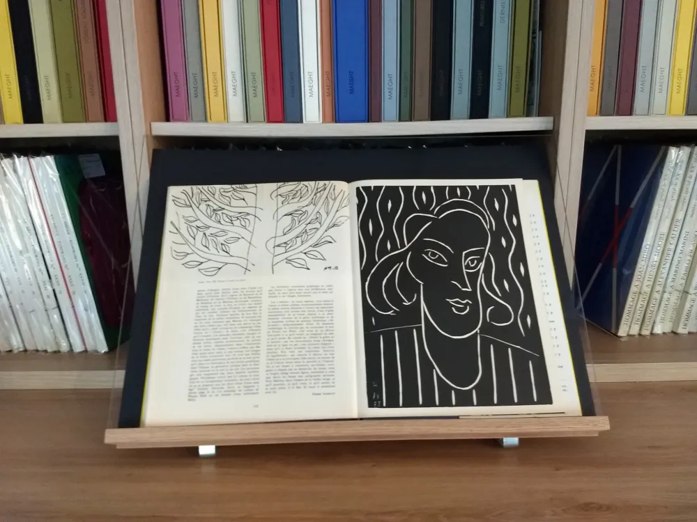 Geïllustreerd Boek Matisse - Hommage