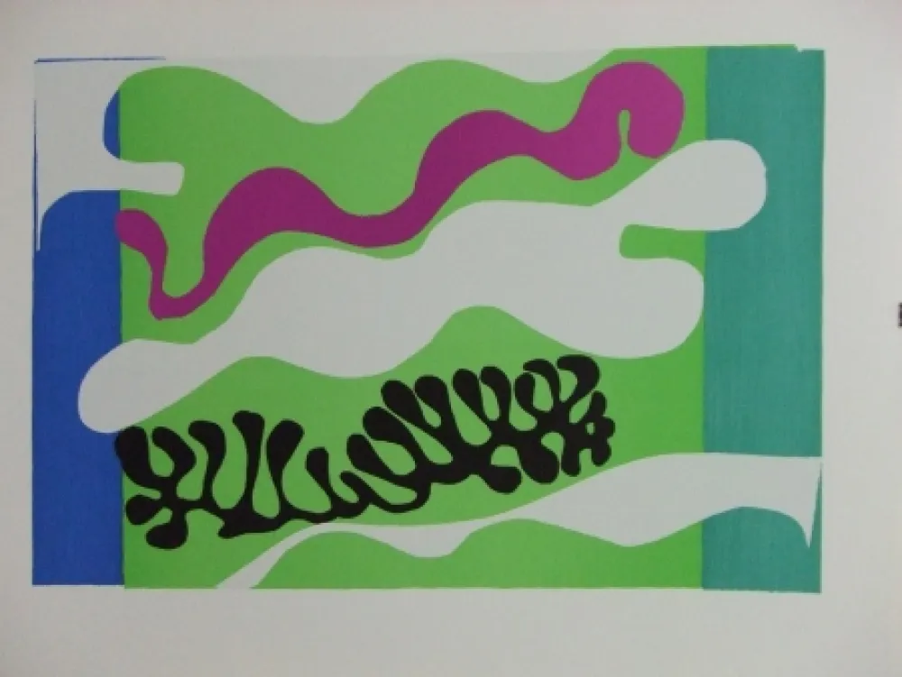 Lithografie Matisse - Le Lagon..
