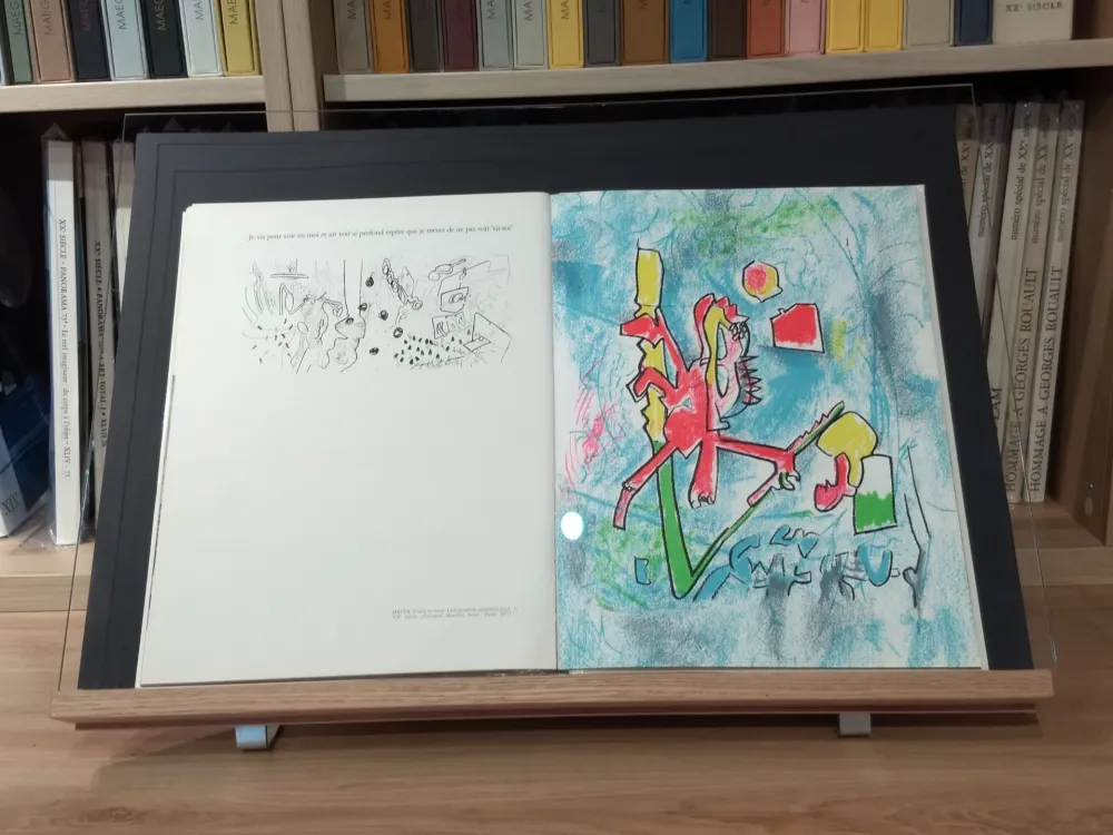 Geïllustreerd Boek Matta - No 45