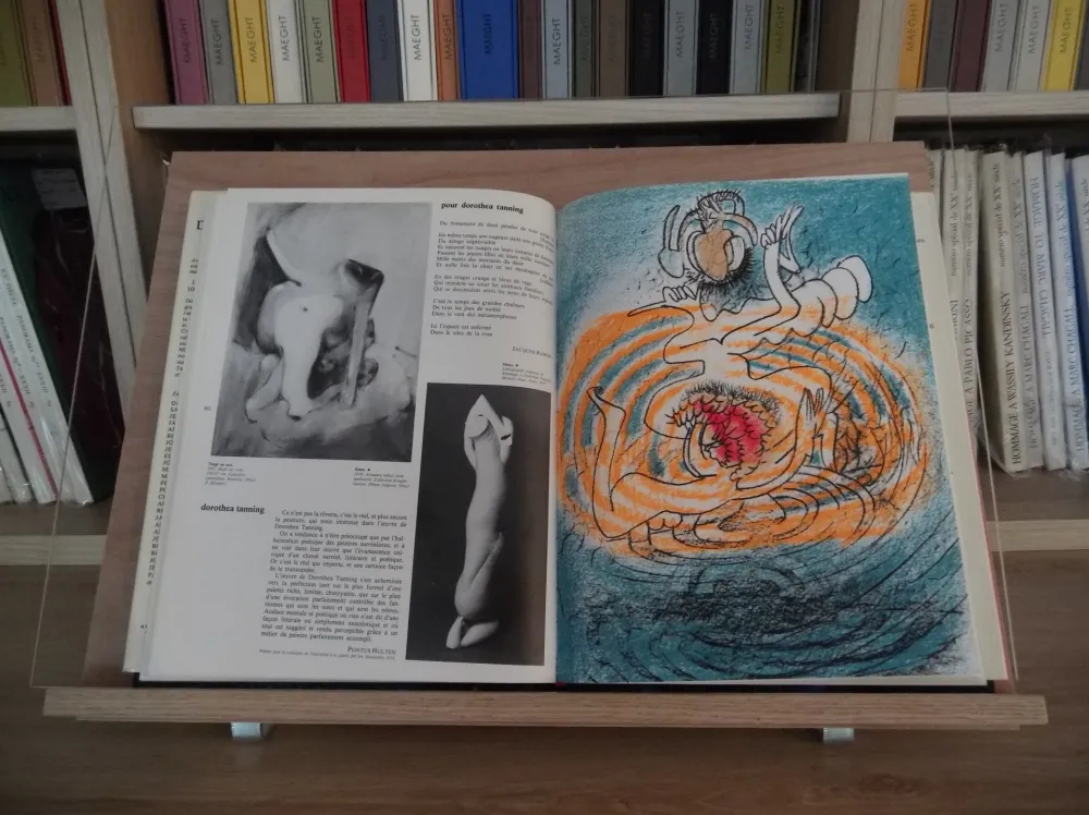 Geïllustreerd Boek Matta - Xxe Tanning