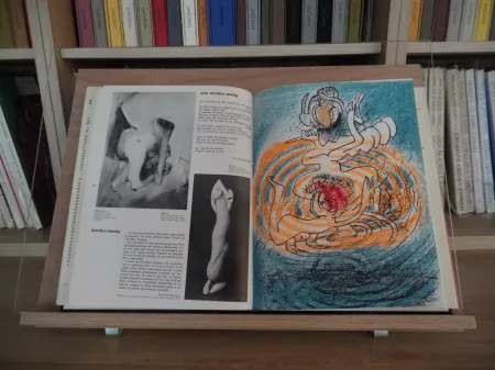 Geïllustreerd Boek Matta - Xxe Tanning