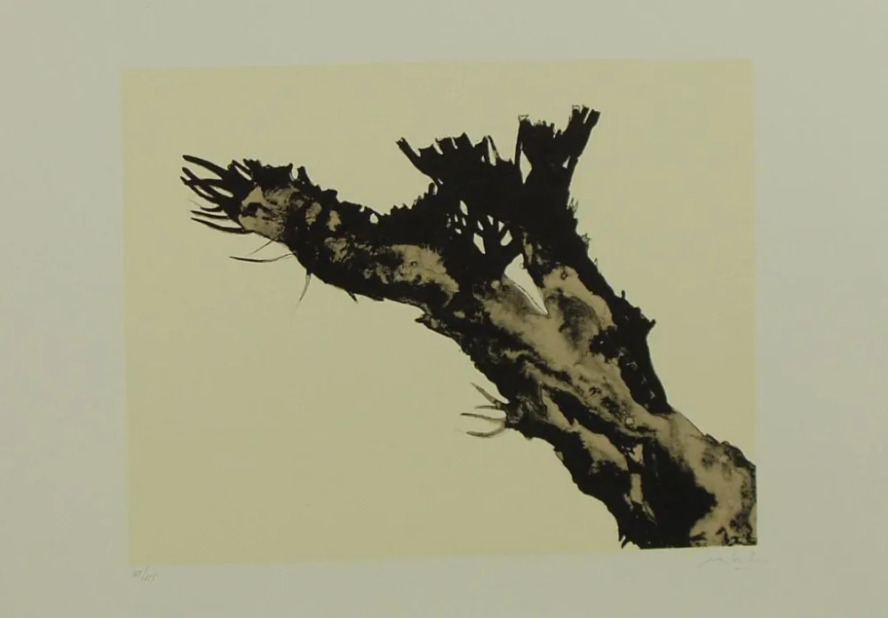 Lithografie Mattioli - SENZA TITOLO