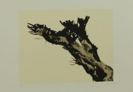 Lithografie Mattioli - SENZA TITOLO