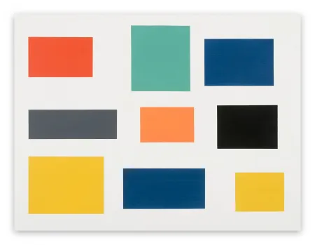 Geen Techniek Mcglynn - Survey 2