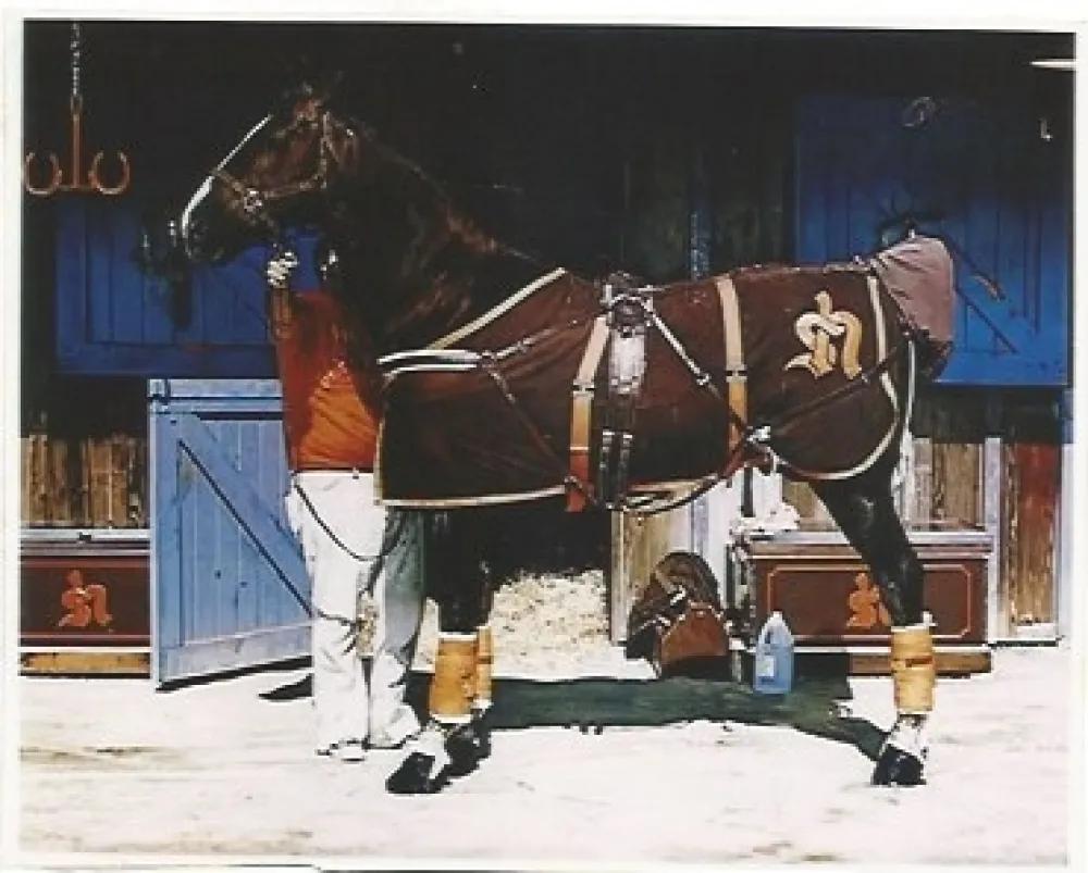 Lithografie Mclean - Prim Style