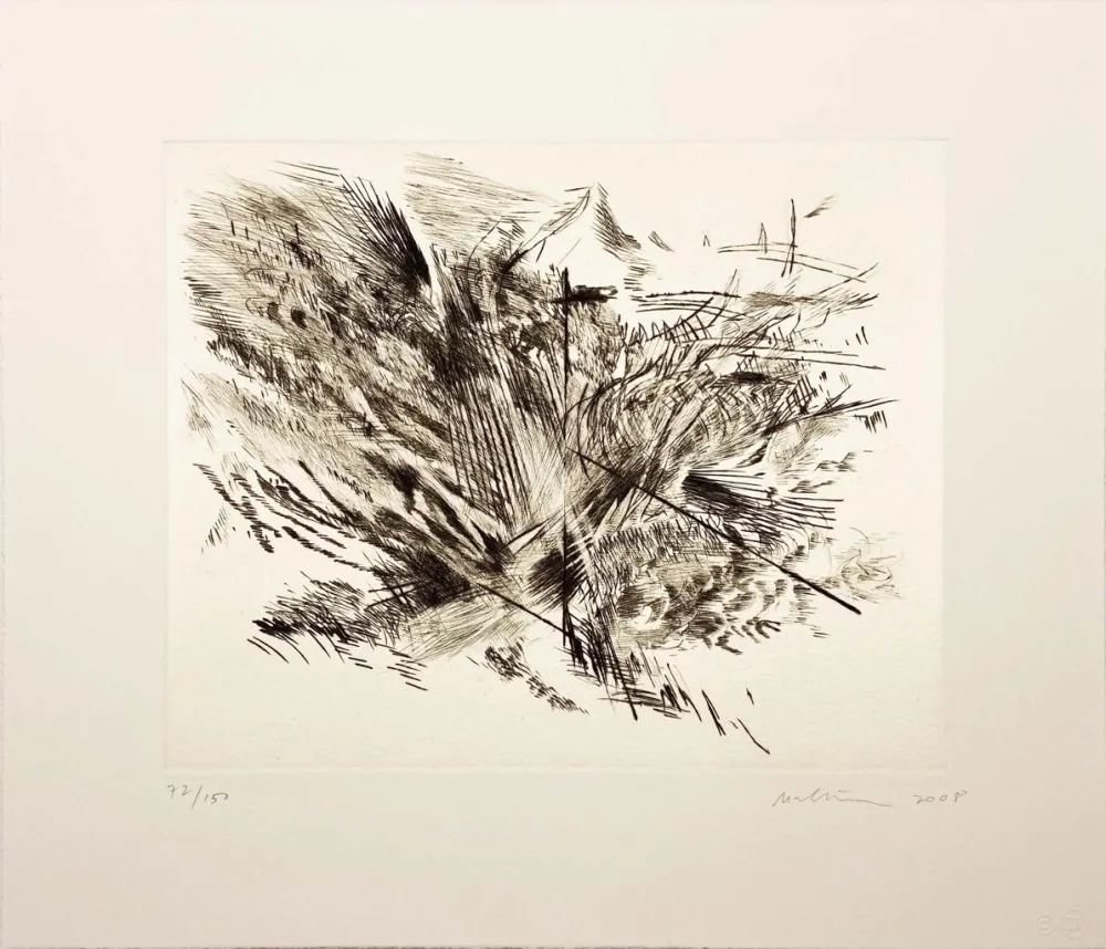 Droge Naald Mehretu - Untitled I (amulets) from the Artist for Obama Portfolio