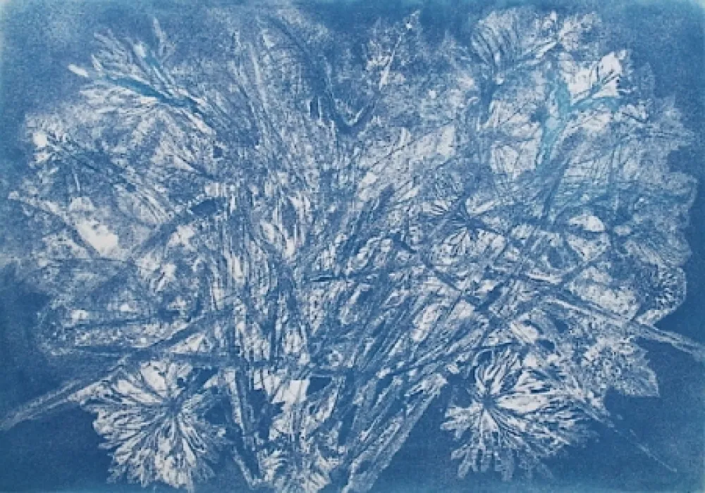 Ets En Aquatint Messagier -  Machine à Printemps 