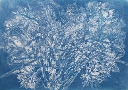 Ets En Aquatint Messagier -  Machine à Printemps 