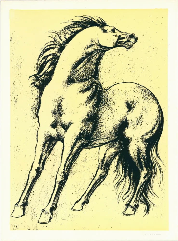 Lithografie Messina - Cavallo