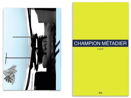 Geïllustreerd Boek Metadier - L'art en écrit