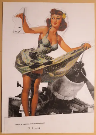 Geen Techniek Metras - PIN UP se engancha en la helice de mi avión