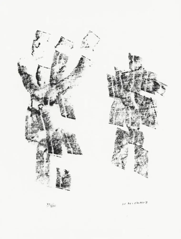 Geïllustreerd Boek Michaux - Décisive pliure du ciel