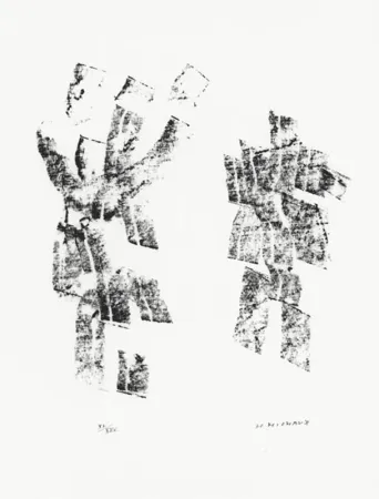 Geïllustreerd Boek Michaux - Décisive pliure du ciel