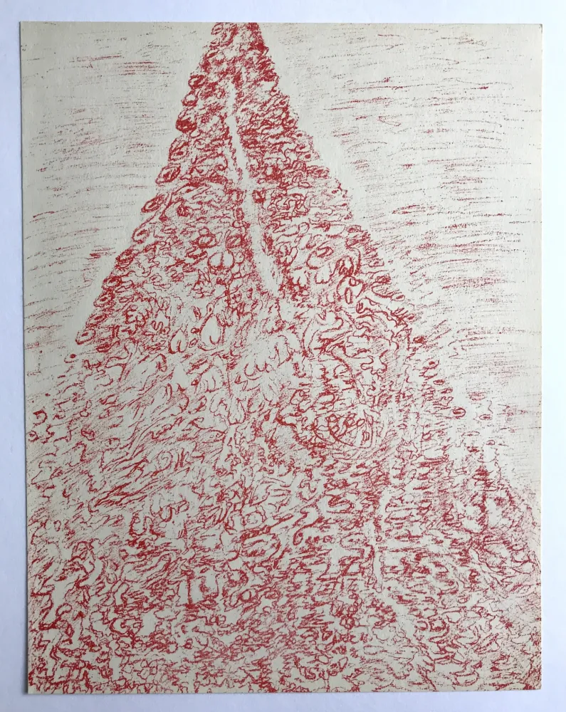 Lithografie Michaux - Zincographie originale pour XXe siècle