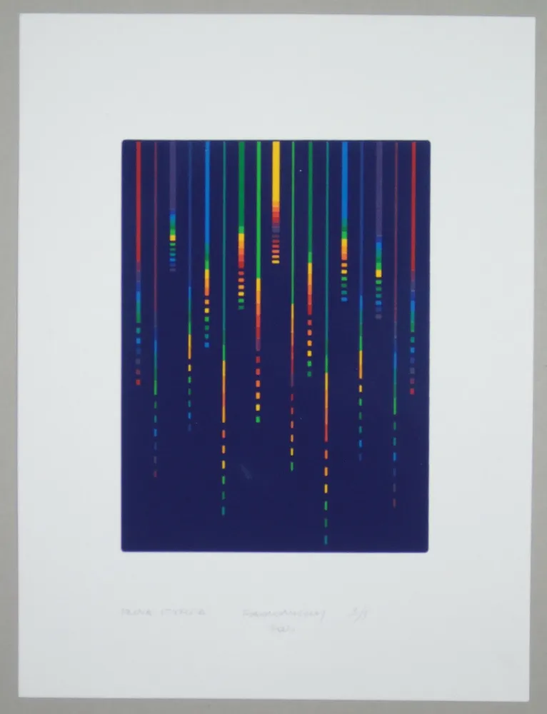 Zeefdruk Minoli - Composizione (e)