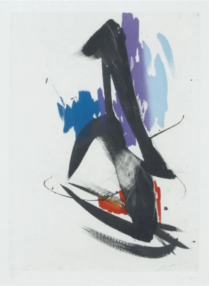 Ets Miotte - Arrabal