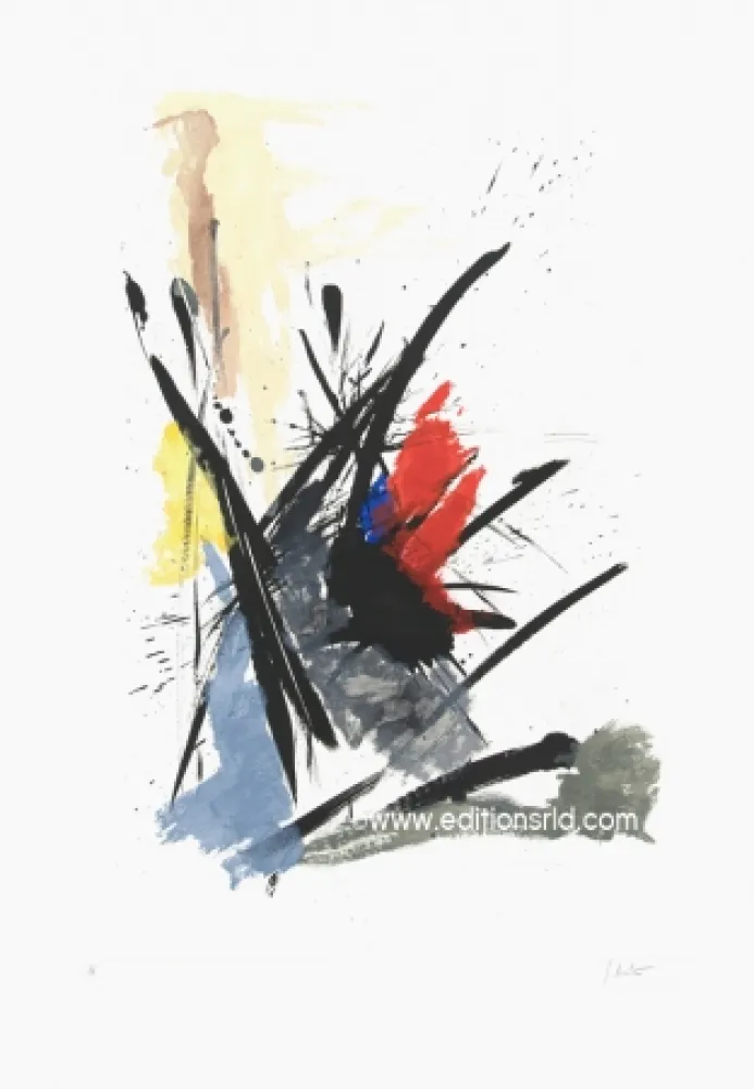 Ets En Aquatint Miotte - L'iroquois