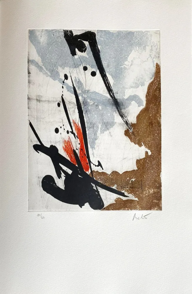 Ets Miotte - Près des murs