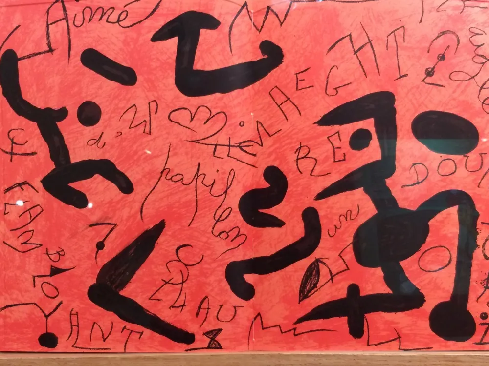 Geïllustreerd Boek Miró - DLM 250