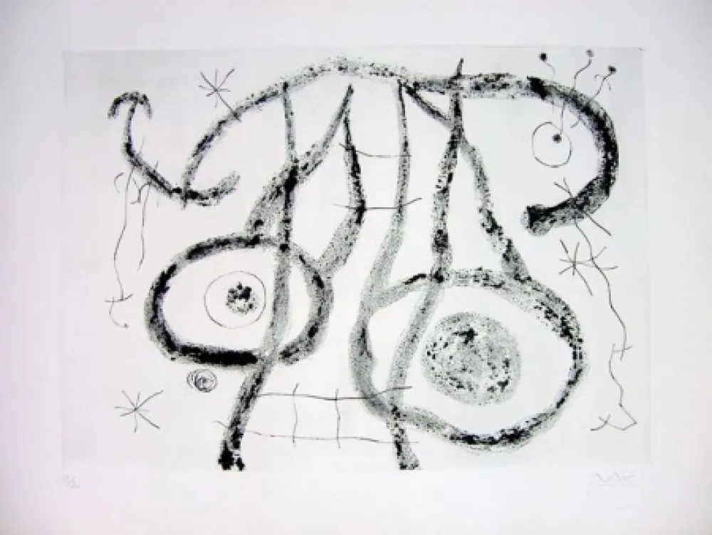 Droge Naald Miró - EL AGUADOR V