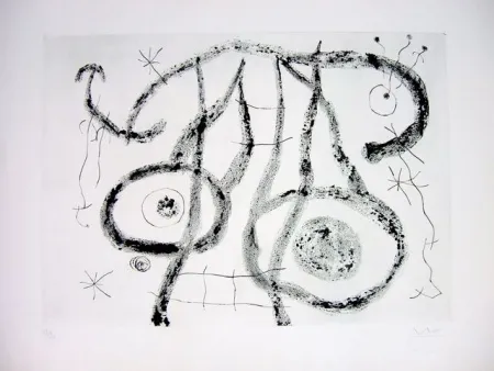 Droge Naald Miró - EL AGUADOR V